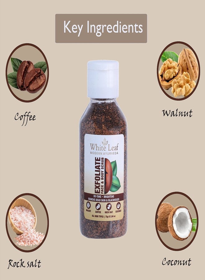 White Leaf Exfoliate Walnut Scrub 75g(Pack Of 4) For Face & Body With Coffee & Coconut For Dead Skin Cells & Tan Removal, Blackheads, Dirt & Pollution Free Skin - Image 5
