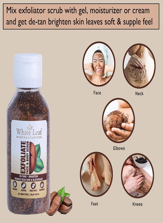 White Leaf Exfoliate Walnut Scrub 75g(Pack Of 4) For Face & Body With Coffee & Coconut For Dead Skin Cells & Tan Removal, Blackheads, Dirt & Pollution Free Skin - Image 3