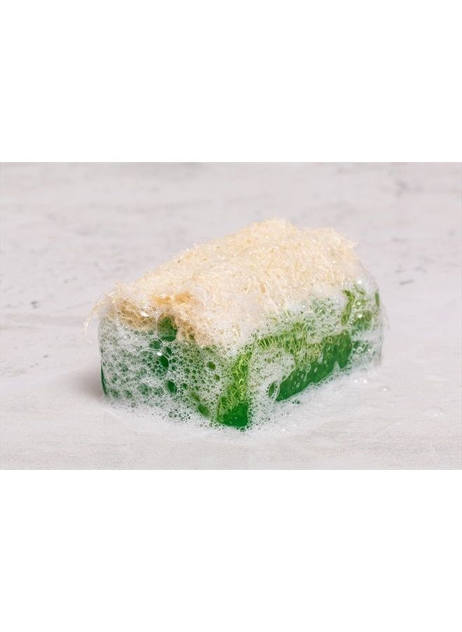SABUN NATURALLY LAVISH - Argan Oil Loofah Soap Bar - Natural Exfoliating Soap with Loofah Inside - Smells Like Bright Floral Citrus - Handmade with Moroccan Argan Oil, Jojoba Oil - Face & Body Scrub Bar [4.4 oz - 125 gr] - Image 1