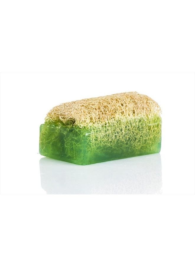 SABUN NATURALLY LAVISH - Argan Oil Loofah Soap Bar - Natural Exfoliating Soap with Loofah Inside - Smells Like Bright Floral Citrus - Handmade with Moroccan Argan Oil, Jojoba Oil - Face & Body Scrub Bar [4.4 oz - 125 gr] - Image 1