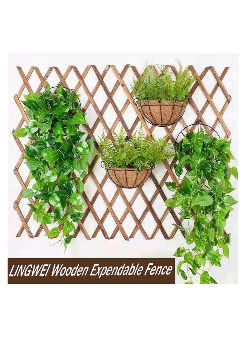 LINGWEI Wooden Expandable Garden Portable Wood Wicker Bamboo Picket Fence Hanging Plant Trellis Frame Support For Climbing Vines Flowers Wall Decor Screen Corrosion Resistant (75cm Brown)  - Image 2