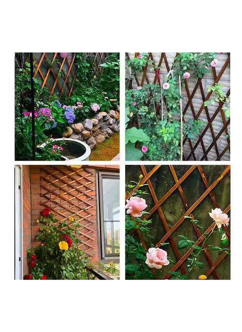 LINGWEI Wooden Expandable Garden Portable Wood Wicker Bamboo Picket Fence Hanging Plant Trellis Frame Support For Climbing Vines Flowers Wall Decor Screen Corrosion Resistant (75cm Brown)  - Image 3