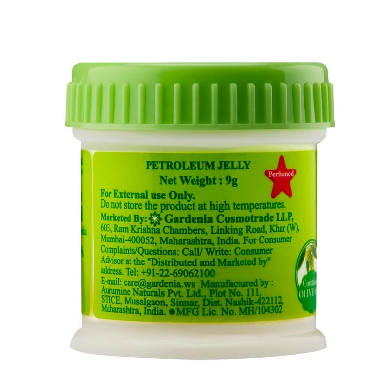 Top Collection Petroleum Jelly 9gm each Pack of 24 Softens Soothens and Protects Skin Contains Olive Oil for All Skin Types - Image 2