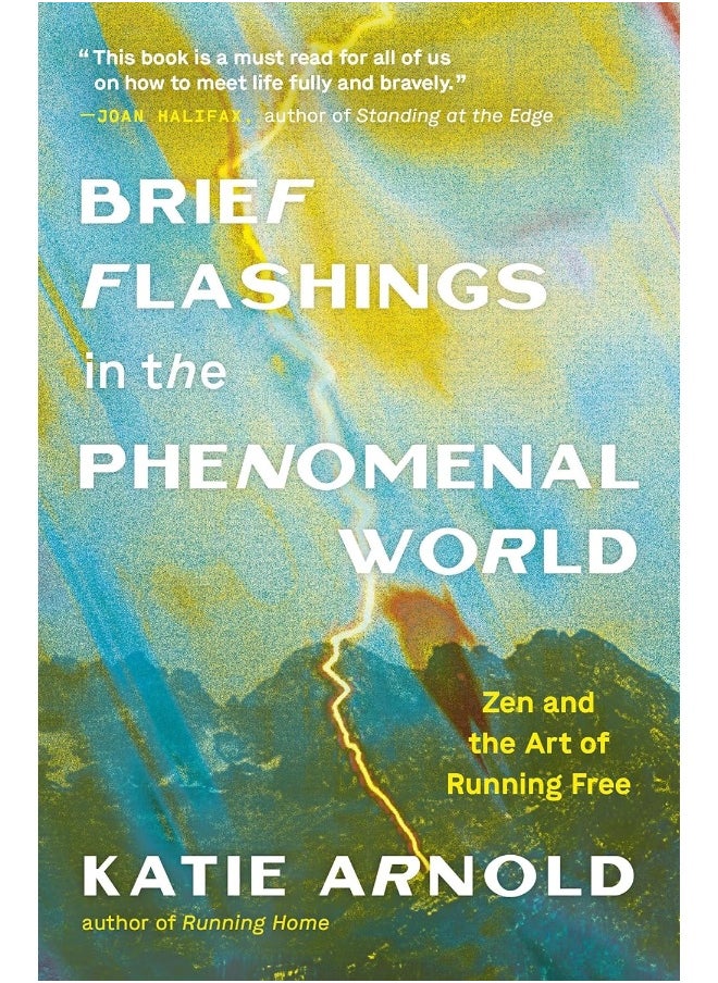 null - Brief Flashings in the Phenomenal World - Image 1