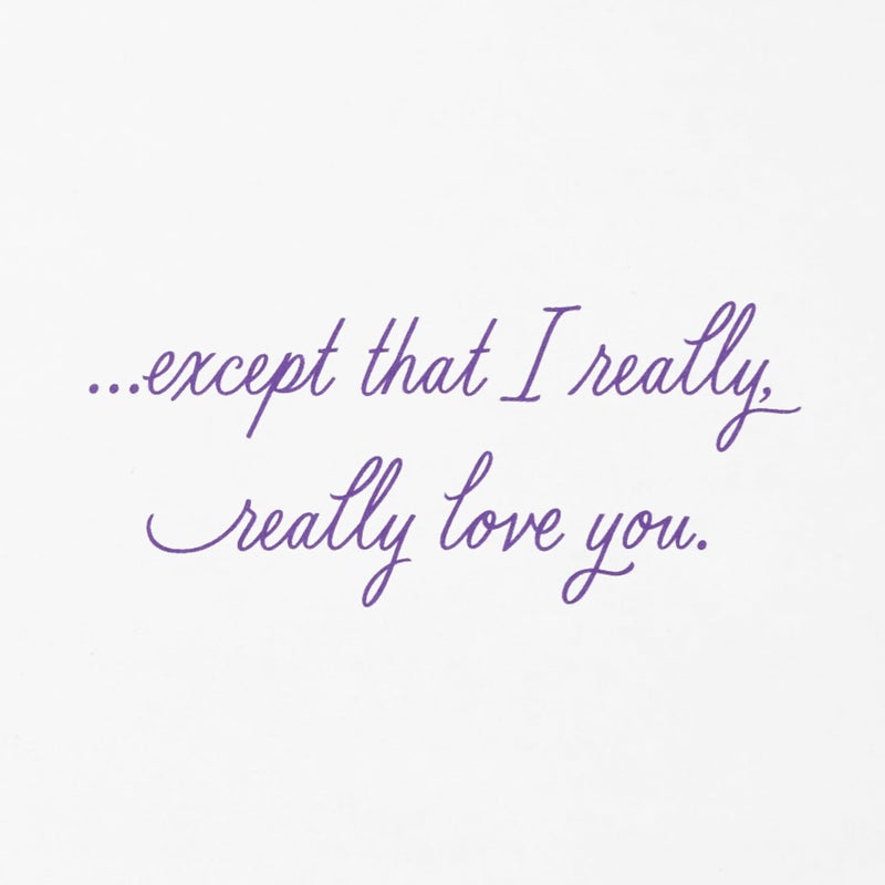 Hallmark Mother's Day Card for Her (We're Meant to Be) for Anniversary, Romantic Birthday, Everyday Love - Image 3