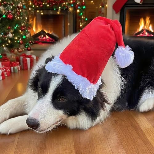 Wiz BBQT Large Dog Santa Hat with White Pompom, Adjustable M L Pet Dog Christmas Hat Semi-Padded with Elastic Strap, Golden Retriever Great Dane German Shepherd Christmas Costumes (Large) - Image 4