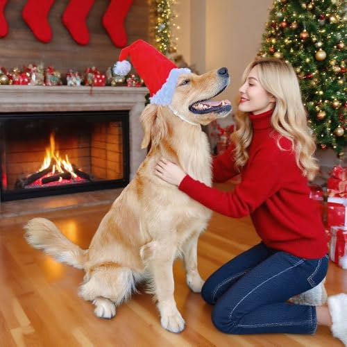 Wiz BBQT Large Dog Santa Hat with White Pompom, Adjustable M L Pet Dog Christmas Hat Semi-Padded with Elastic Strap, Golden Retriever Great Dane German Shepherd Christmas Costumes (Large) - Image 3
