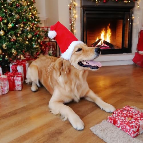Wiz BBQT Large Dog Santa Hat with White Pompom, Adjustable M L Pet Dog Christmas Hat Semi-Padded with Elastic Strap, Golden Retriever Great Dane German Shepherd Christmas Costumes (Large) - Image 2
