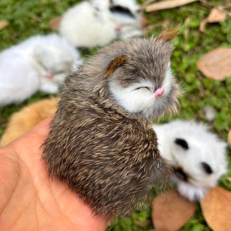 Basuo-9Q Pack of 5 Realistic Furry Baby Cats Figurines Simulation Kittens Home Office Car Decorative Statue Synthetic Little Pet Stuffed House Animal Kitties Replica Photo Props Collectible Gift - Image 3