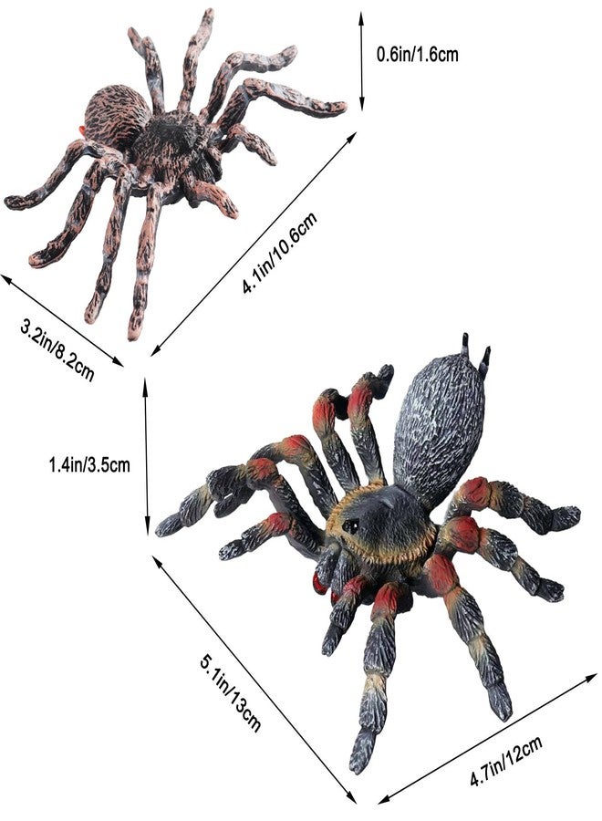 SCAHOW Realistic Fake Spiders, 2pcs Plastic Spider Toys Figures with Giant Whiteknee Tarantula, Educational Insect Animal Figures for Kids Toddlers, Halloween Decoration Prank Props - Image 3