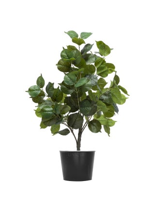 Blueberry Artificial Double Trunks Tree Green Leavs H100CM - pzsku/Z8A8C63668EB980601874Z/45/1748868925/0347f574-7727-4923-8867-f90a54cf9df6