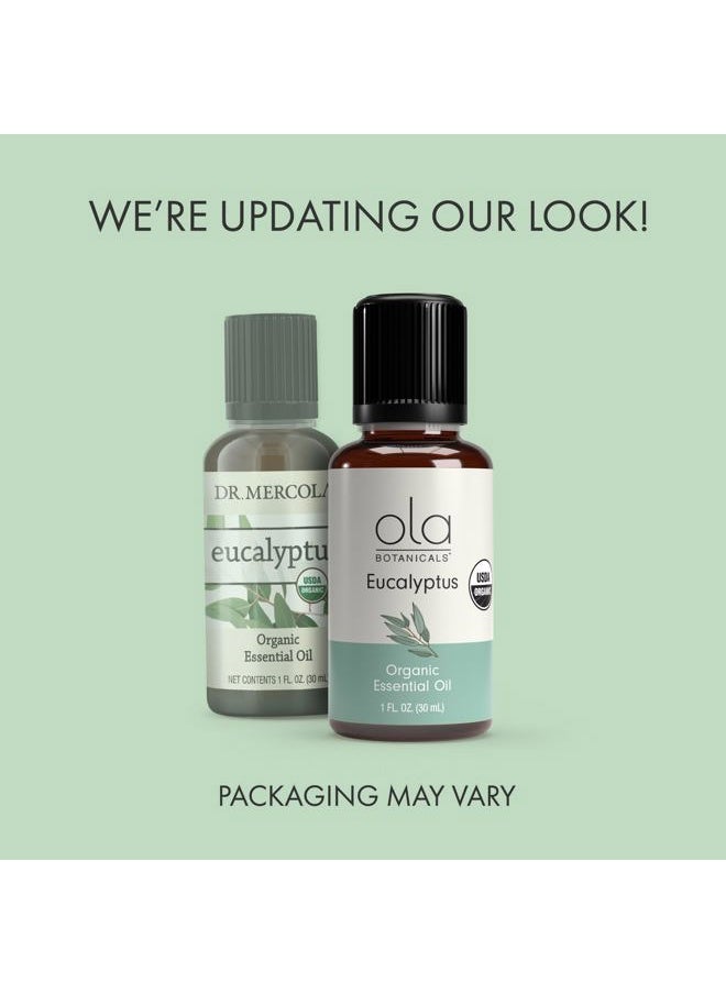 Dr. Mercola Ola Botanicals Organic Eucalyptus Essential Oil (1 Fl. Oz.), Refreshing and Soothing, Certified USDA Organic, Dr. Mercola  - Image 3