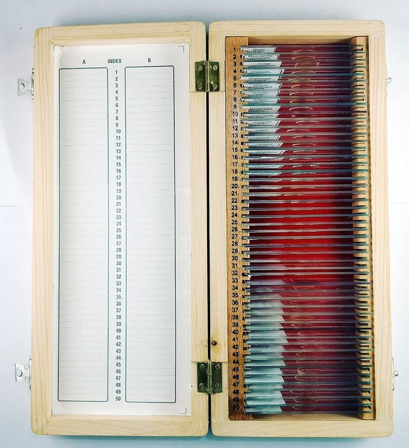 Comet مجموعة شرائح المجهر المعدة من 50 في صندوق خشبي – شرائح تعليمية في علم الأحياء، علم الحيوان وعلم الأنسجة للطلاب والمدارس - Image 1