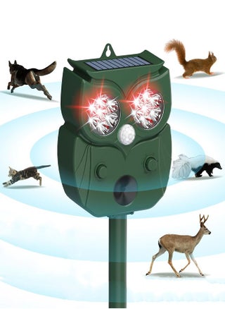 Ultrasonic Repellent Solar Repellent Waterproof Motion Detection LED Flash is Effective in Repelling Dogs, Cats, Deer, Etc - pzsku/Z8A8E5745F3991AA28E7BZ/45/_/1715829569/672232a6-91fc-40c7-8009-1d8df30c5b37