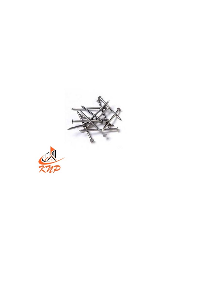 KNP KNP Common Wire Nail 25mm (1") 120grams - Image 2