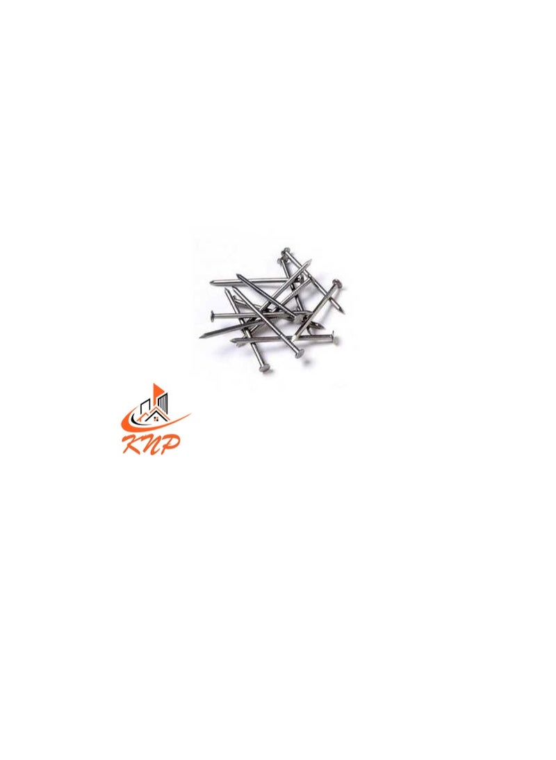 KNP KNP Common Wire Nail 25mm (1") 120grams - Image 3