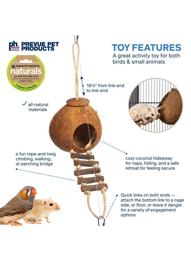 Prevue Pet Products - Prevue Hendryx Prevue Pet Products 62801 Naturals Coco Hideaway with Ladder Bird Toy,1 Count (Pack of 1) - Image 1