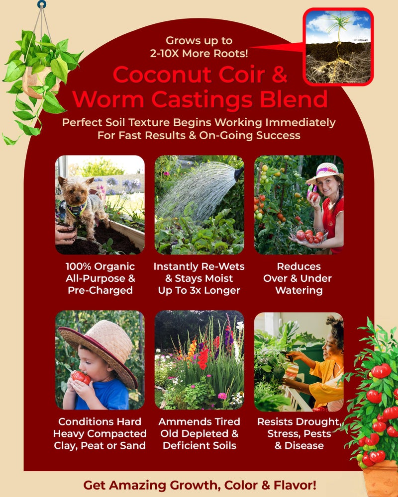 Organic Plant Magic Compressed Organic Potting Soil for Garden, Plants & Vegetables - Expands 4x When Mixed with Water - Indoor or Outdoor Use - Plant Food Mix Derived from Natural Coconut Coir & Worm Castings Fertilizer - Image 5