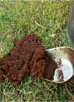 Generic 650gms Coco Coir Brick for Plants, Premium 100% Organic Peat moss mix With Low EC  PH Balance, Fiber Coconut Husk for Planting, Gardening, Potting Soil Substrate (1 Block)  - Image 4