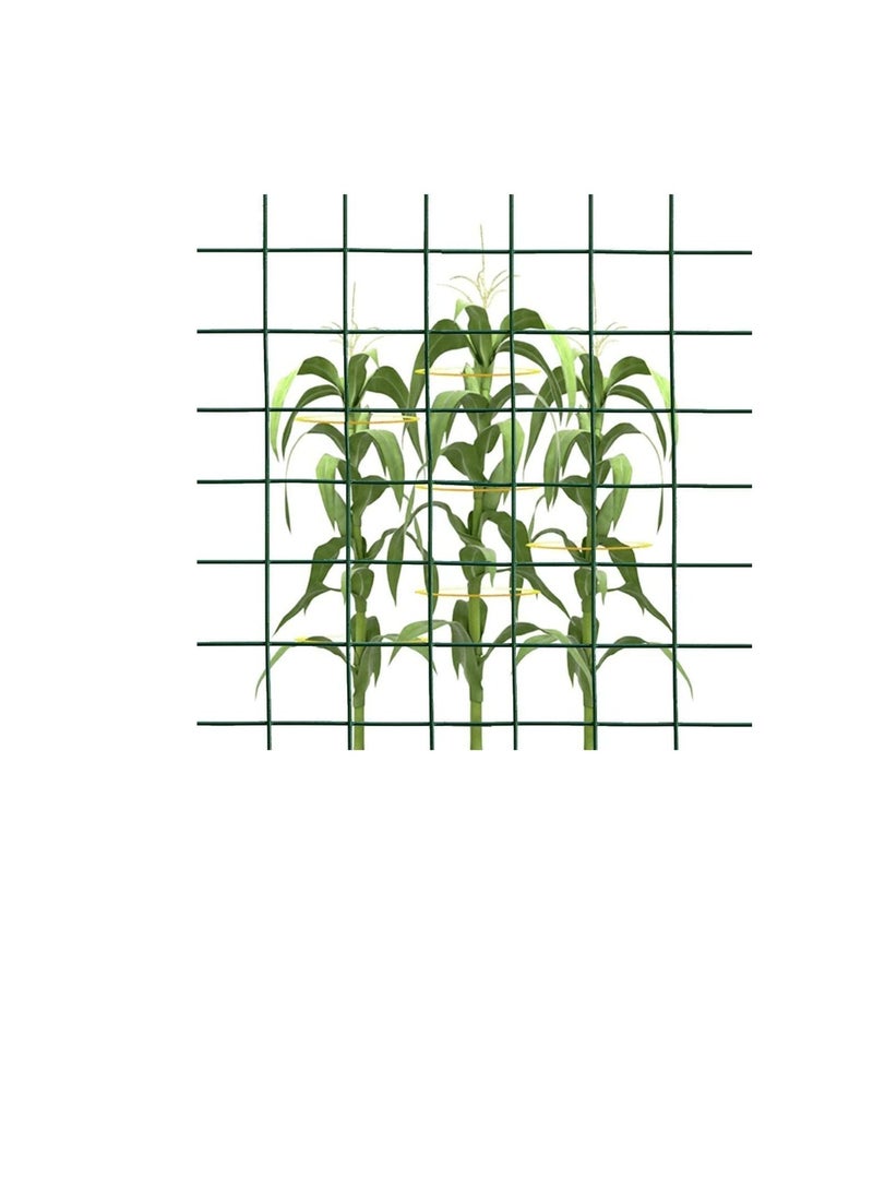 ROBUSTLINE Robustline Wire Mesh Fencing, Galvanized PVC Coated Garden Fencing, Green Steel Nets for Farming Fence, Plant Chicken Wire Fence and Animals Hen-houses Small (3.67 Mtr) (3/4" X 3FT X 12FT X 19MM)  - Image 2