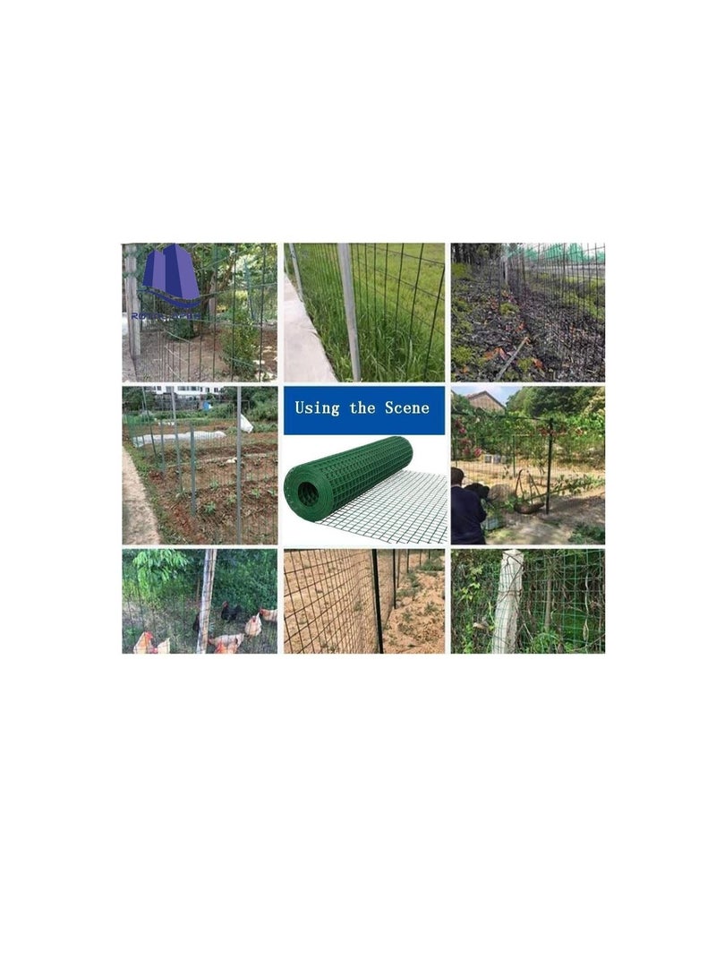 ROBUSTLINE Robustline Wire Mesh Fencing, Galvanized PVC Coated Garden Fencing, Green Steel Nets for Farming Fence, Plant Chicken Wire Fence and Animals Hen-houses Small (3.67 Mtr) (3/4" X 3FT X 12FT X 19MM)  - Image 3