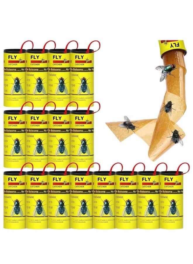 Fly 16 Pcs Sticky Fly Catchers Set for Outdoors and Indoors or Greenhouse Use, Sticky Traps Plant Trap for Hanging Fly Traps, Fly Strips Fly Tape Ribbon Indoor, Fly Paper Roll, Sticky Catcher Mosquito Killer, Kitchen Sticky Fly Trap, Indoor Fly Paper Tape ((16pieces)) - Image 2