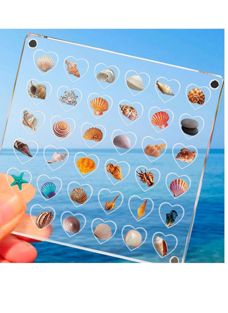 Excefore 36 Grids Heart Clear Acrylic Shadow Boxes, Mini Seashell Collection Display Box, Acrylic Magnetic Seashell Storage Box, Clear Acrylic Diamond Gemstone Beads Display Organizer  - Image 1