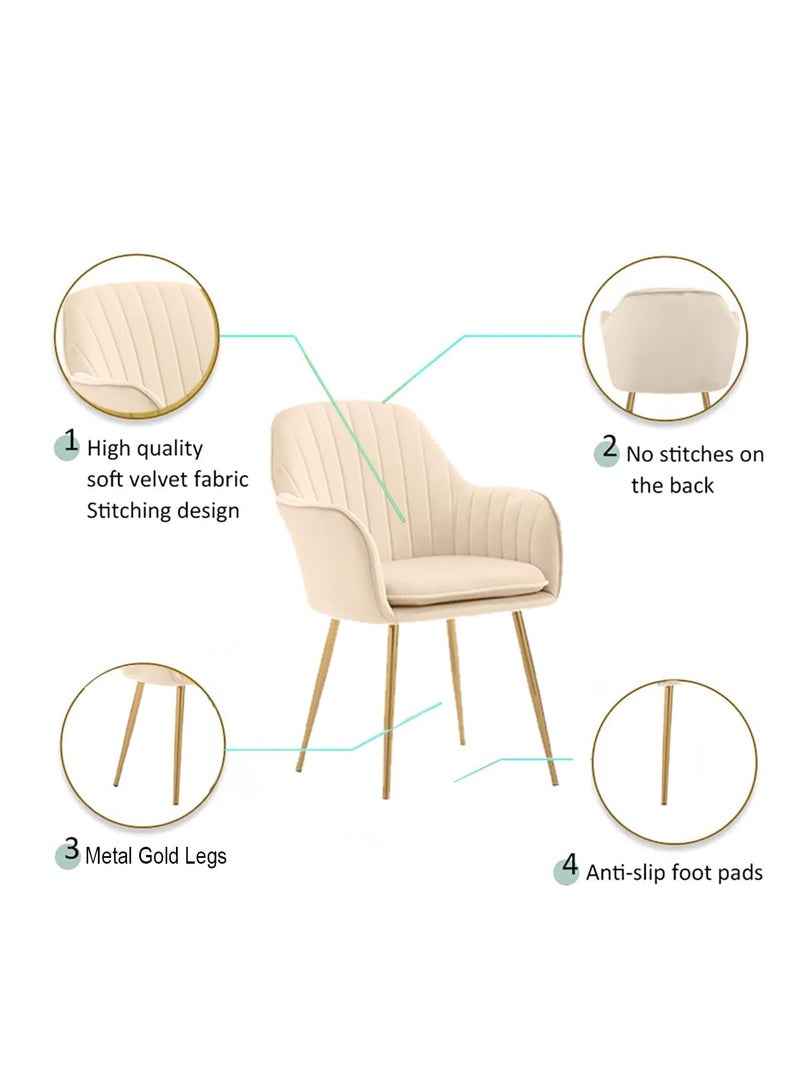 Generic Stylish Velvet Dining Chairs with Gold Legs Comfortable and Durable  - Image 4