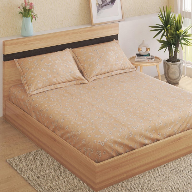 Home Centre AW24- Printed DBS with 2 Pillow CASE-2.28MX2.54M45CMX70CM - Image 1