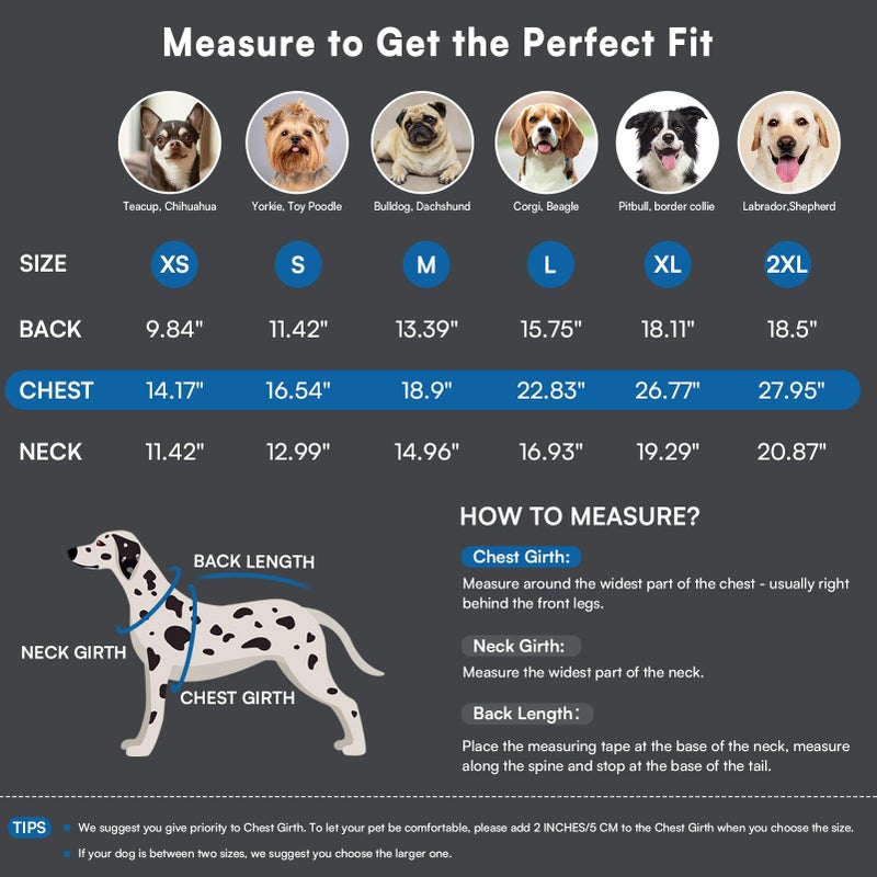 Queenmore Small Dog Sweaters,Turtleneck Dog Sweater for Small Dogs Male Female,Warm&Breathable Doggy Sweater with Stylish Patterns,Christmas Sleeveless Dogs Sweaters for Dachshund,Yorkie(Blue,S) - Image 3
