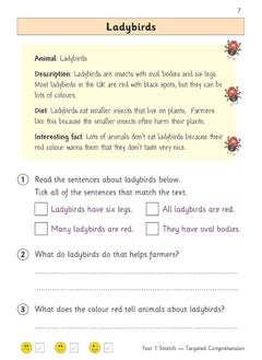 KS1 English Year 1 Stretch Reading Comprehension Targeted Question Book (with Answers)  - Image 4