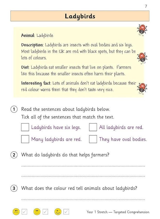 null - KS1 English Year 1 Stretch Reading Comprehension Targeted Question Book (with Answers) - Image 1