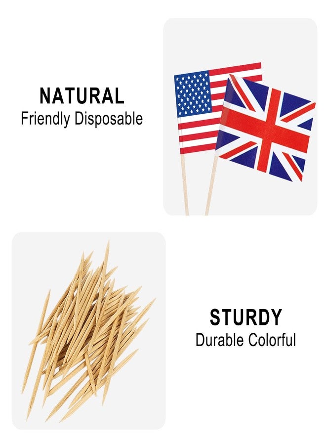 JBSJBS 100 Countries Flag National Cupcake Topper Flags Banner Mini Small Country World Toothpick Stick Flags Cake Party Festival Theme Decorations(100Pcs) - Image 3
