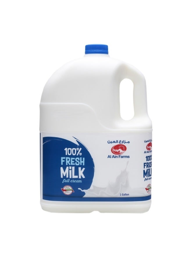 Al Ain Full Cream Milk, 1 Gallon (3.78ltr), UAE