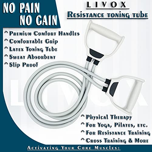 Livox Plastic Double Toning Resistance Tube Band And Ab Wheel Roller With Push Up Bar, Skipping Rope Combo For Men And Women Gym Equipment Set For Home Workout - Image 4