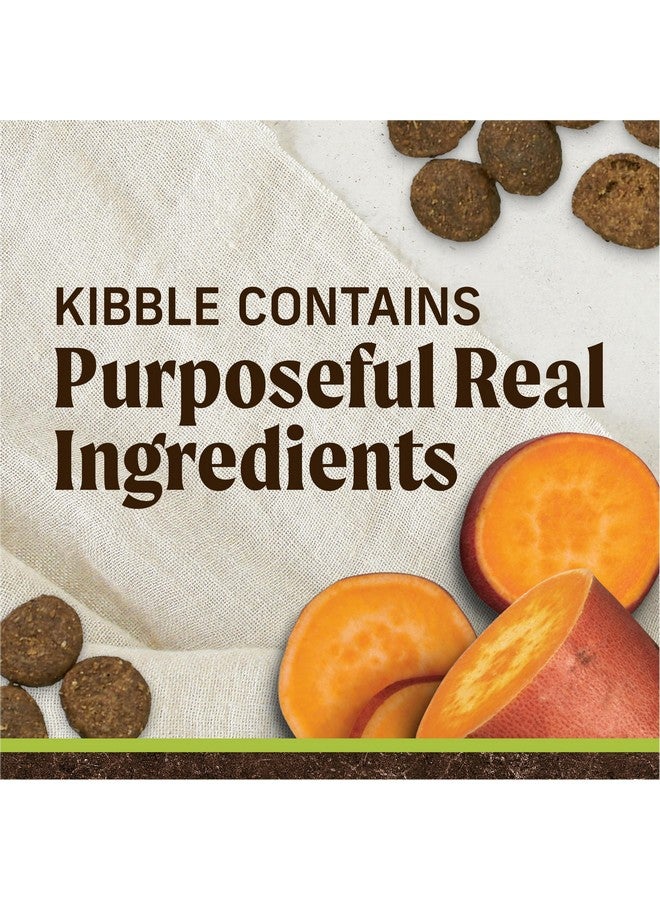 Merrick Grain Free Lamb + Sweet Potato Recipe Dry Dog Food, 4 lbs. - Image 2