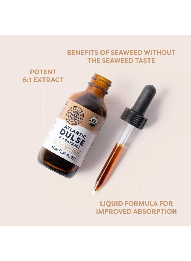 فيميرجي مستخلص الدلس الأطلسي العضوي التابع لوزارة الزراعة الأمريكية، 55 حصة - قطرات مكملة للأعشاب البحرية السائلة الخام - خالية من الكحول، نباتية وصديقة للباليو (55 مل) - Image 3