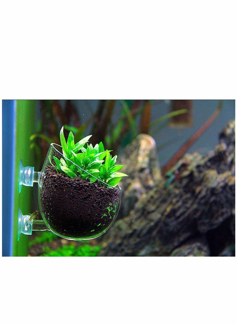 Y&D Plant Pot Aquarium Decor, Aquatic Cup with 2 Suction Cup, Crystal Glass for Fish Tank, 2pcs - Image 4