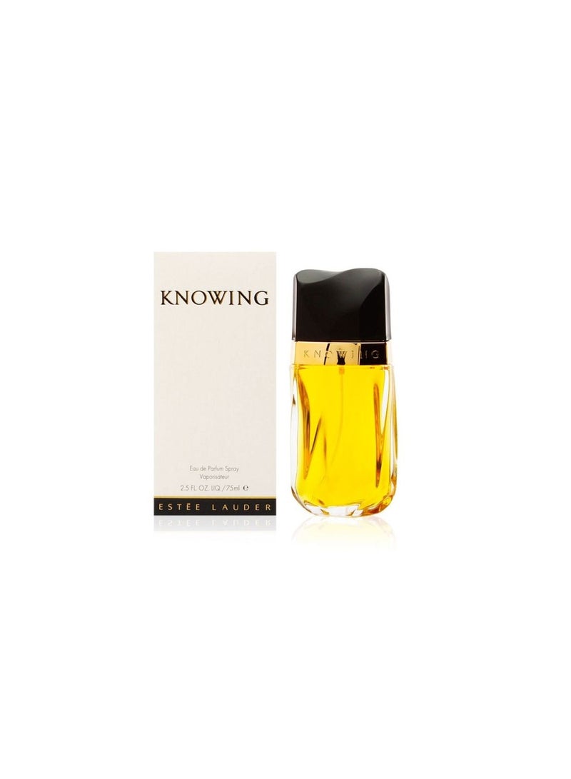 عطر نوينغ بارفيوم 75مل