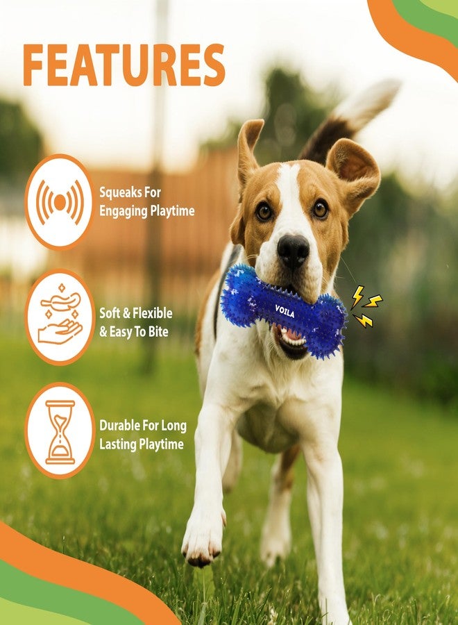 Voila Spiky Bone Dog Toy, Durable & Chew-Resistant Bone for Dogs, Soft & Non-Toxic Rubber Spikes for Healthy Teeth & Gums, Ideal for Medium, Large & Extra Large Dogs (Pack of 1) Blue - Image 4