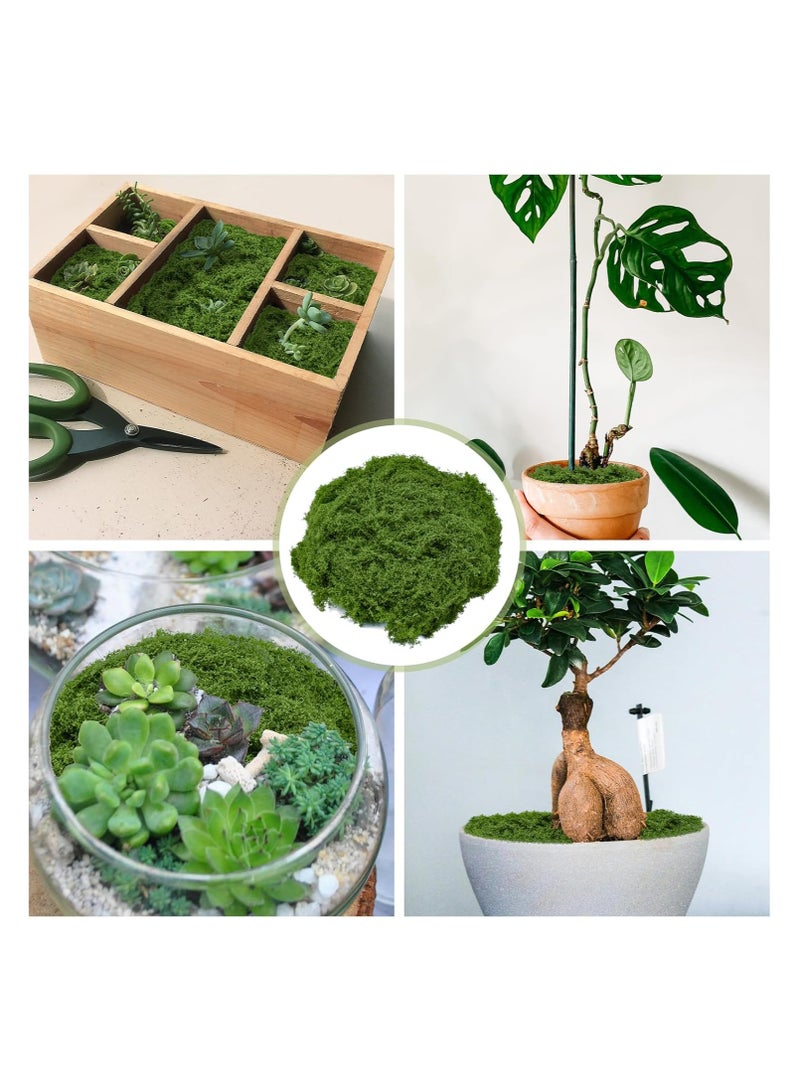 Fake Green Moss,100g Decorative Artificial Moss for Crafts ,Artificial Faux Moss for DIY Table Centerpieces Wedding Party Decor Fairy Garden Floral - Image 5