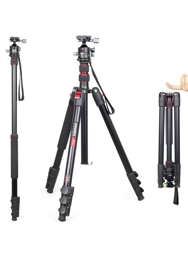 Professional Camera Tripod High Monopod Stand-INNOREL RT30, Lightweight Aluminum Alloy Fast Flip Lock Max Height 76.8in/195cm with D36 CNC 36mm Low Profile Ball Head for DSLR Camera Shooting - pzsku/Z8A9C501E1AF145E27649Z/45/_/1692406229/692104cc-a84d-4a90-b97a-6ae2c396f5b6