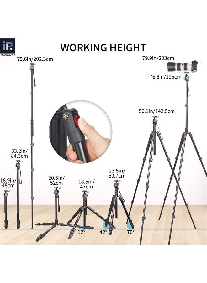 Professional Camera Tripod High Monopod Stand-INNOREL RT30, Lightweight Aluminum Alloy Fast Flip Lock Max Height 76.8in/195cm with D36 CNC 36mm Low Profile Ball Head for DSLR Camera Shooting - pzsku/Z8A9C501E1AF145E27649Z/45/_/1692406230/7d1a4254-8aa6-444c-a8ca-9876f2809f40