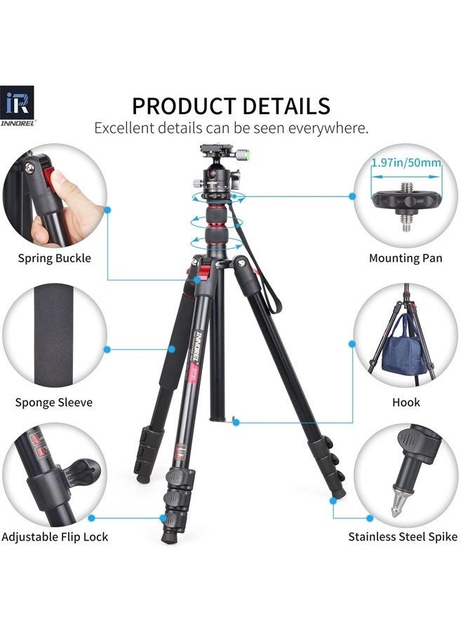 Professional Camera Tripod High Monopod Stand-INNOREL RT30, Lightweight Aluminum Alloy Fast Flip Lock Max Height 76.8in/195cm with D36 CNC 36mm Low Profile Ball Head for DSLR Camera Shooting - pzsku/Z8A9C501E1AF145E27649Z/45/_/1692406230/ce46eff3-769b-4526-ad55-7e53017409e1