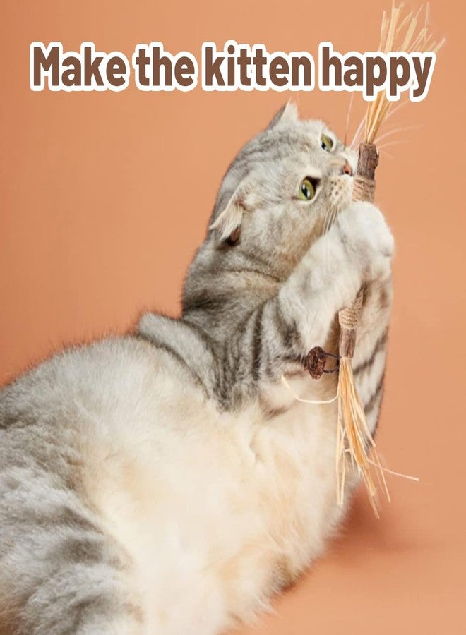 BCNJEPIN Cat Toys, 4Pcs Cat Chew Toy, Cat Playing Toys for Indoor, Stick for Cats with Sisal Rope and Gall Fruit, Natural Catnip Alternative - Image 5
