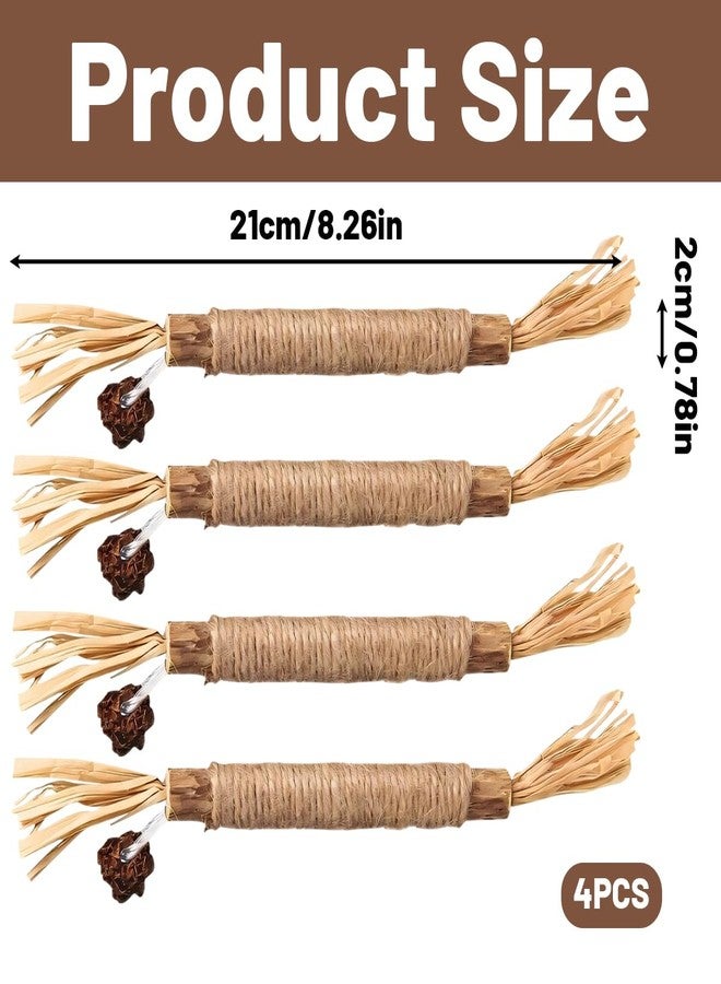 BCNJEPIN Cat Toys, 4Pcs Cat Chew Toy, Cat Playing Toys for Indoor, Stick for Cats with Sisal Rope and Gall Fruit, Natural Catnip Alternative - Image 2