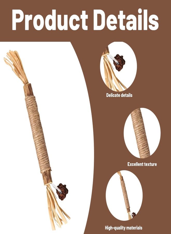 BCNJEPIN Cat Toys, 4Pcs Cat Chew Toy, Cat Playing Toys for Indoor, Stick for Cats with Sisal Rope and Gall Fruit, Natural Catnip Alternative - Image 3