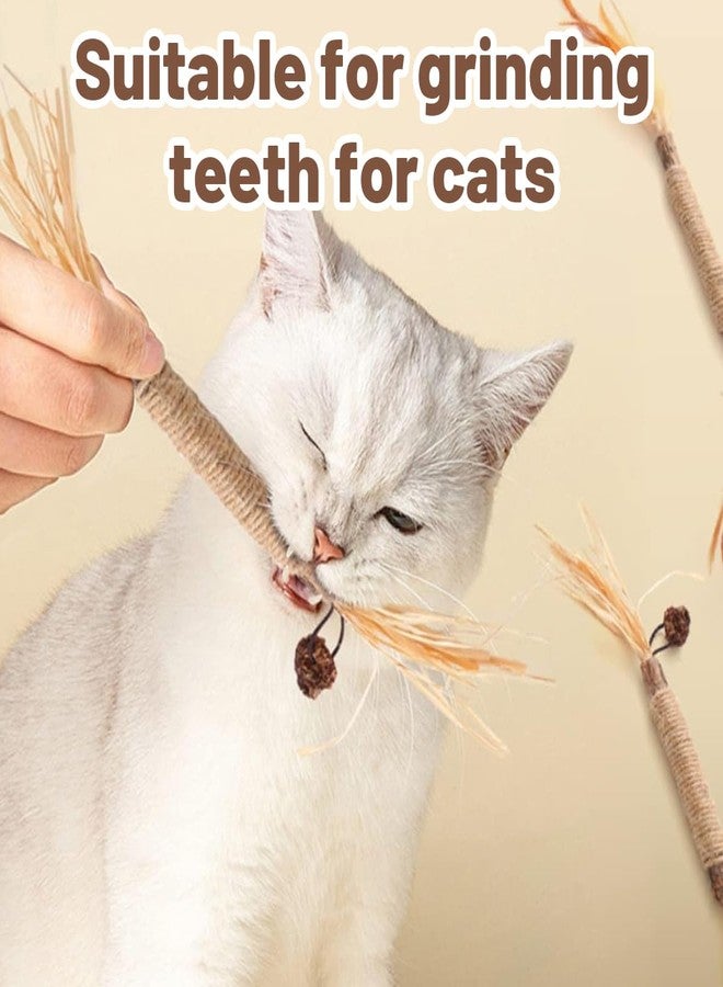 BCNJEPIN Cat Toys, 4Pcs Cat Chew Toy, Cat Playing Toys for Indoor, Stick for Cats with Sisal Rope and Gall Fruit, Natural Catnip Alternative - Image 4