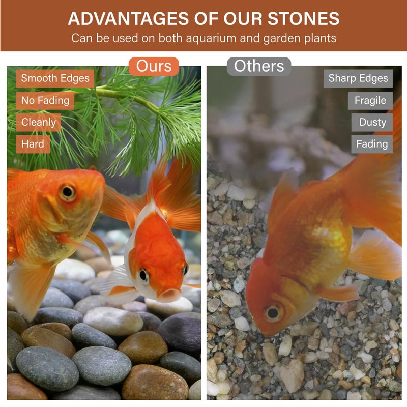 NUPICK 6lb Mexican Beach Pebbles, 2-3" Large River Rocks for Landscaping, Smooth Garden Rocks for Outdoor Paving, Natural Pebbles for Indoor Plants, Decorative Stones for Planters, Fish Tank, Fountain - Image 3