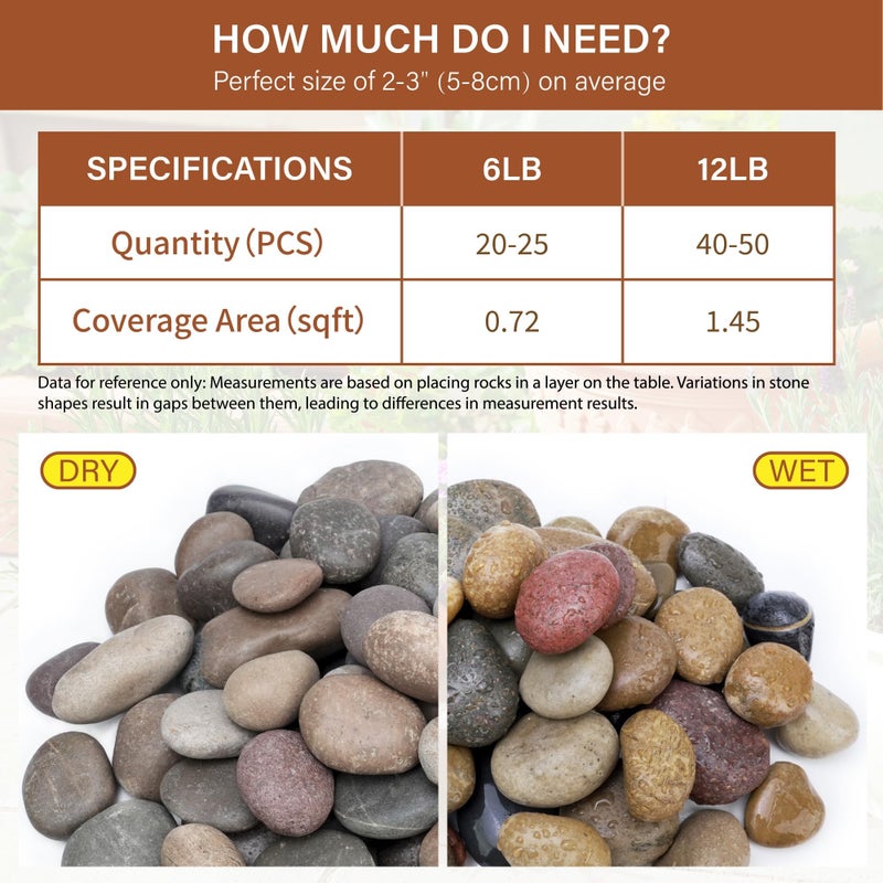 NUPICK 6lb Mexican Beach Pebbles, 2-3" Large River Rocks for Landscaping, Smooth Garden Rocks for Outdoor Paving, Natural Pebbles for Indoor Plants, Decorative Stones for Planters, Fish Tank, Fountain - Image 2